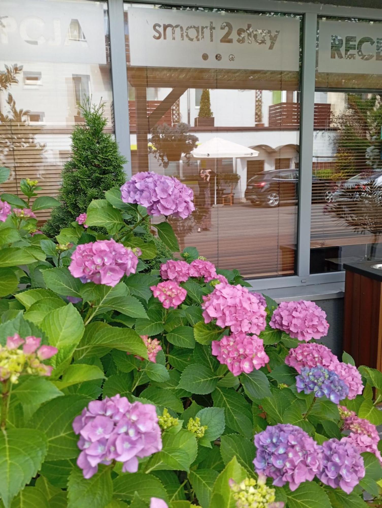 Smart2stay Magnolia Pensjonat Warszawa